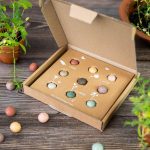 Giftbox Medium - Blossombs