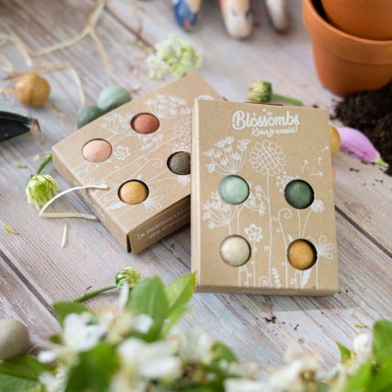 Giftbox Mini - Blossombs